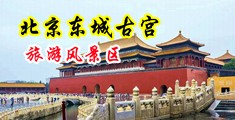 黑逼大奶子让大鸡巴干出水的视频中国北京-东城古宫旅游风景区